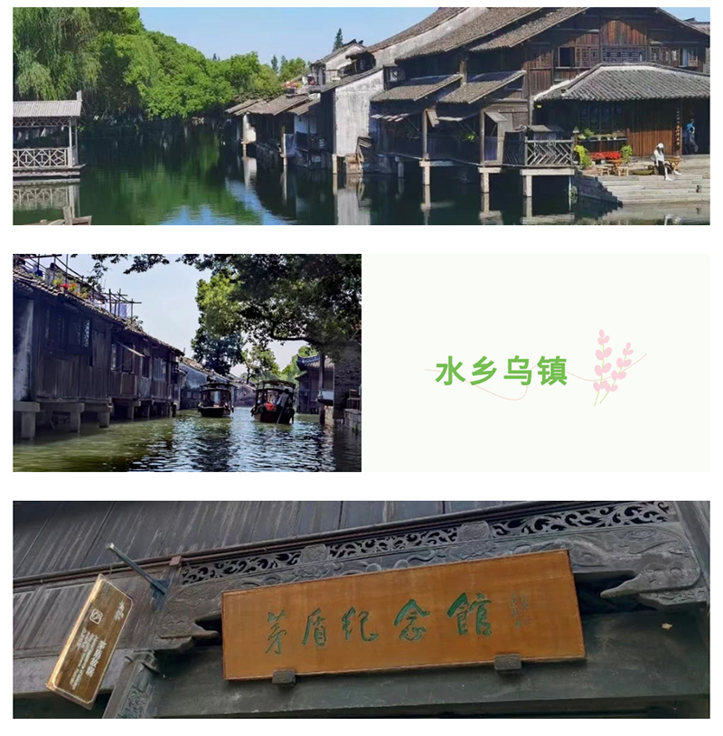共赴山海之約| 德信致遠舟山-烏鎮(zhèn)四日游圓滿落幕